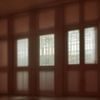 林知秋，资深互联网安全科普作者，正在办公室审阅隐私保护相关文稿